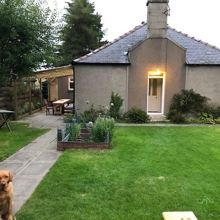 Nurse'S Cottage Томинтул Екстериор снимка