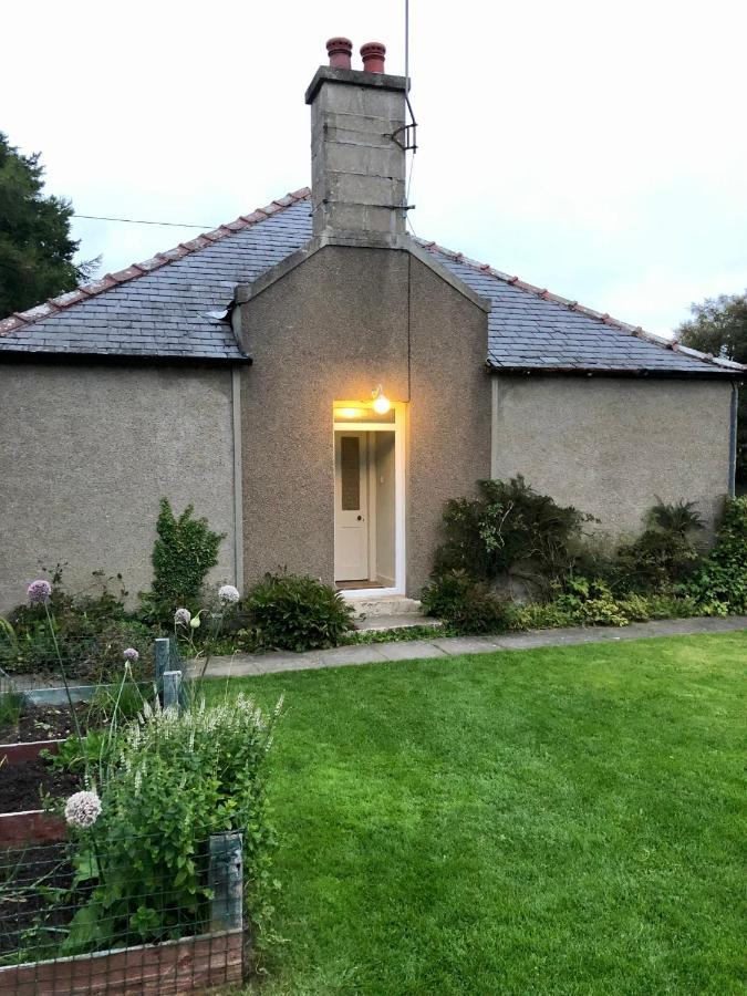 Nurse'S Cottage Томинтул Екстериор снимка